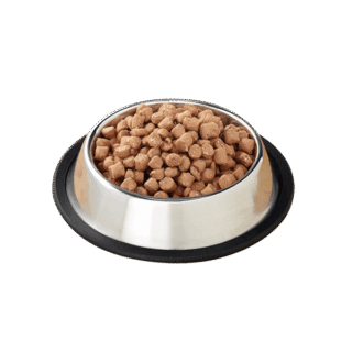 Pet Food